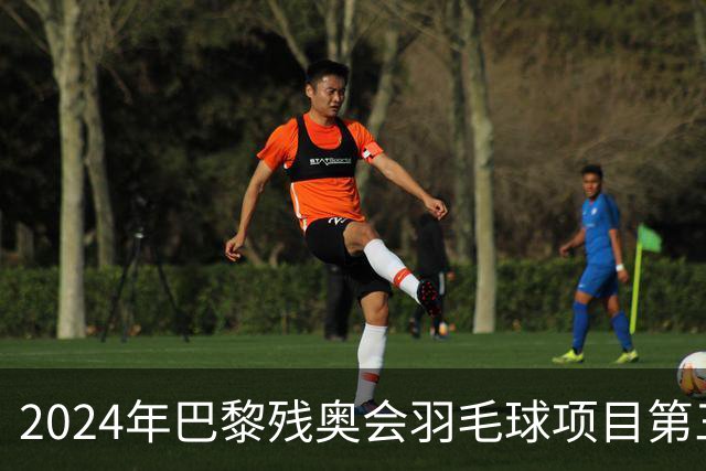 2024年巴黎残奥会羽毛球项目第三日成绩分析